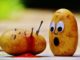 Kit cena con delitto: un’organizzazione completa per serate di qualità